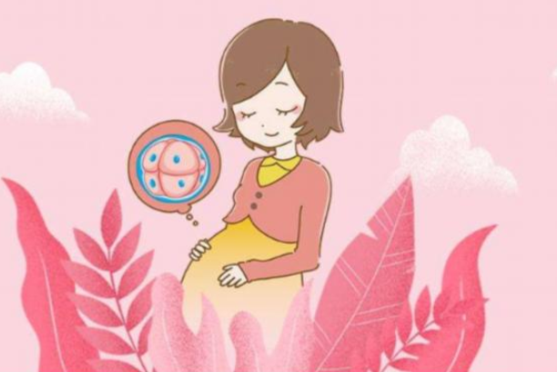 泰國試管嬰兒費(fèi)用是多少？泰國試管嬰兒成功率高嗎？